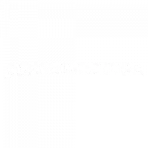 boardmasters festival logo_alt